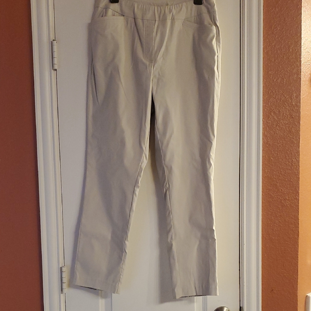 Tribal Flatten It Pull-on Ankle Pant With Back Seam Size 8